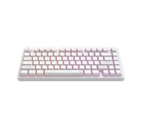 Dark project alu terra nostra white - wired gaming keyboard (ansi ua)