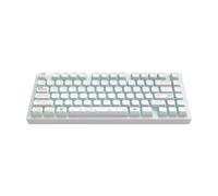 Dark Project ALU TERRA NOVA R2 (blanco) - Teclado mecánico inalámbrico para juegos | ANSI ENG | Intercambio en caliente | Interruptores y estabilizadores engrasados G3MS Moonstone | Montaje de junta