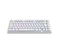 Dark Project ALU81A TERRA NOSTRA Teclado mecánico para juegos | ISO Multi | Intercambio en caliente | Interruptores engrasados G3MS Moonstone | Estabilizadores engrasados | Montaje de junta flexible |