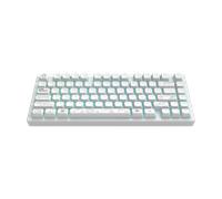 Dark Project ALU81A TERRA NOVA Teclado mecánico inalámbrico para juegos | ANSI ENG | Intercambio en caliente | Interruptores engrasados G3MS Moonstone | Estabilizadores engrasados | Montaje de junta