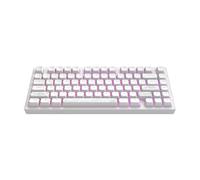 Dark Project Aluminio Terra Nostra White (ENG) [ANSI] - Teclado mecánico gaming, cable USB, RGB, G3MS Moonstone, intercambiable en caliente, estabilizadores engrasados, aluminio 75%