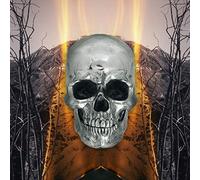 Dark Side Of Everything [Vinilo]