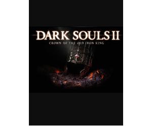DARK SOULS™ II Crown of the Old Iron King (DLC) (PC) Steam Key GLOBAL