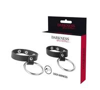 Darkness Bondage DARKNESS ANILLO DE METAL PARA EL PENE Y TESTÍCULOS 10 g