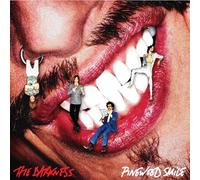 Darkness - Pinewood Smile