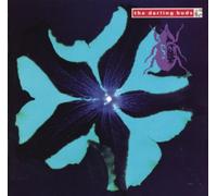 Darling Buds - Crawdaddy