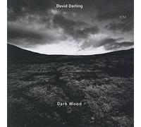 Darling, David - Dark Wood