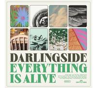 Darlingside - Everything is alive [Vinilo]