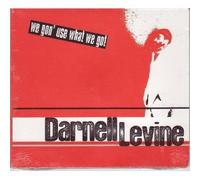 Darnell Levine - We Gon' Use What We Got