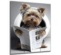 DARO Design - Imágenes decorativas para invitados, pared de baño, baño, aseo, impresión artística en 6 mm HDF 30 x 40 cm, decoración de pared de Yorkshire Terrier - Divertidos cuadros de pared lienzo