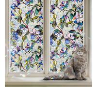 DARUITE Vinilos para Cristales con Efecto Arcoíris, Anti-UV y Electrostática Vinilo Ventana Privacidad, Lámina Privacidad Ventana Decorativa Ideal para Oficina o Dormitorio (Bauhinia, 43x100 cm)