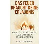 Das Feuer braucht keine Erlaubnis: Aufbruch in ein Leben mit dem Heiligen Geist