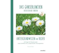DAS GÄNSEBLÜMCHEN entdecken mit Kindern: Hintergrundwissen und Bilder
