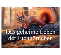 Das geheime Leben der Eichhörnchen - Ein Jahr zwischen Baumwipfeln und Nussverstecken (Wandkalender 2026 DIN A4 quer), CALVENDO Monatskalender: ... ein Kalender voller Charme, Witz und Flausch