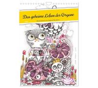 Das geheime Leben der Organe (Wandkalender 2026 DIN A4 hoch), CALVENDO Monatskalender: Spielerisch-anatomische Illustrationen von Organen und Körper