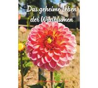 Das geheime Leben der Wildblumen: Das Flüstern der verborgenen Schönheit.....Über 100 Arten leicht erkennen