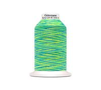 "Das hüpfende Komma Gütermann Bulky-Lock No.80 - Hilo de construcción (1000 m), color azul