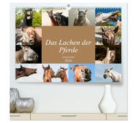 Das Lachen der Pferde - Lustige Gesichter (hochwertiger Premium Wandkalender 2026 DIN A2 quer), Kunstdruck in Hochglanz: Pferdeporträts die Spaß bereiten