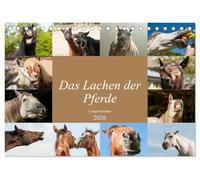 Das Lachen der Pferde - Lustige Gesichter (Tischkalender 2026 DIN A5 quer), CALVENDO Monatskalender: Pferdeporträts die Spaß bereiten
