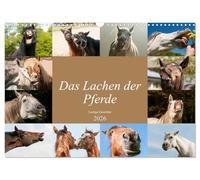 Das Lachen der Pferde - Lustige Gesichter (Wandkalender 2026 DIN A3 quer), CALVENDO Monatskalender: Pferdeporträts die Spaß bereiten