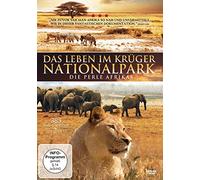 Das Leben im Krüger Nationalpark - Die Perle Afrikas [Alemania] [DVD]