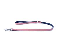 Das Lederband Correa De Cuero Para Perro Firenze Candy/Saphire, Nuevas