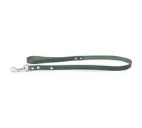 Das Lederband Correa Para Perro Weinheim Hunting Green, Varios Tamaños, NEU