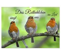Das Rotkehlchen singt uns ein Lied (Wandkalender 2026 DIN A3 quer), CALVENDO Monatskalender: Das Rotkehlchen strahlt eine besondere Ruhe aus. Es ist oft bei uns im Garten zu Gast.