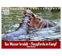 Das Wasser brodelt - Flusspferde im Kampf (Tischkalender 2026 DIN A5 quer), CALVENDO Monatskalender: Eines der gefährlichsten Tiere der Welt im Kampf