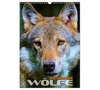 Das Wesen der Wölfe (Wandkalender 2026 DIN A3 hoch), CALVENDO Monatskalender: Faszinierende Bilder aus dem Lebensraum des Wolfes