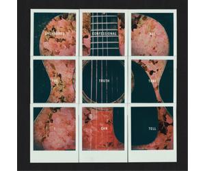 Dashboard Confessiona All the Truth That I Can Tel (Cassette) (Importación USA)