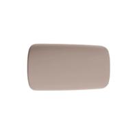 Dashboard para BYD para Dolphin 2025