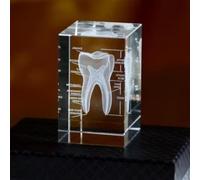 DASIAUTOEM Modelo anatómico de cristal dental 3D de diente humano, modelo de diente anatómico grabado con láser cúbico para medicina, hogar y oficina, regalos para dentistas
