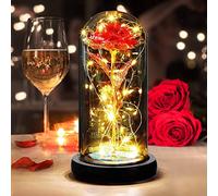 DASIAUTOEM Rosa Eterna para Mujer, Regalo para San Valentín, La Bella y la Bestia Kit de Rosas Rose Roja Flor Encantada Originales Regalos para Mujer, Esposa, Novia, Mamá, Cumpleaños, Boda Aniversario