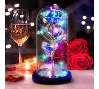 DASIAUTOEM Rosa Eterna para Mujer, Regalo para San Valentín, La Bella y la Bestia Kit de Rosas Rose Roja Flor Encantada Originales Regalos para Mujer, Esposa, Novia, Mamá, Cumpleaños, Boda Aniversario