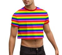 DASONLUE Camiseta de manga corta para hombre, arco iris, camiseta de manga corta, fitness, camiseta interior a rayas, camiseta interior LGBT Pride, cuello redondo, camiseta Gay Hot Shirts, amarillo, L