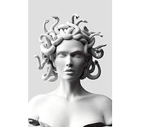 Dass Vaporwave Sculpture of Medusa Canvas Art Posters Graffiti Art Canvas Pinturas en la Pared Art Cover Face of Medusa Pictures, para decoración de Sala de Estar Sin Marco (Size : 40x60cm no Frame)