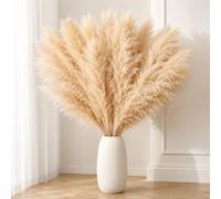 DATEFUN Flores Pampas Secas seco 10 Piezas 100 cm Esponjosas Ramas Decorativas para Decoración Boho, Home, Bodas y Fiestas Rústicas