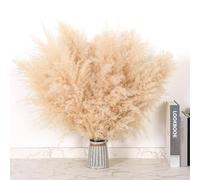 DATEFUN Pampas Secas Decoracion - 10 Piezas Flores Secas Naturales 43 cm - Esponjosas Ramas Secas Decorativas para Decoracion Boho, Home Decor, Bodas Fiesta Rústica, Room Decor