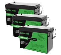 DATOUBOSS 3* Batería de Litio LiFePO4 de 24V 100Ah, BMS Integrado de 100A, Hasta 15 000 Ciclos Profundos, Salida Máxima de 2560Wh, Compatible con Conexión en Serie/Paralelo, para Camper, Sistema Solar