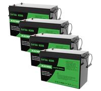 DATOUBOSS 4* Batería de Litio LiFePO4 de 24V 100Ah, BMS Integrado de 100A, Hasta 15 000 Ciclos Profundos, Salida Máxima de 2560Wh, Compatible con Conexión en Serie/Paralelo, para Camper, Sistema Solar