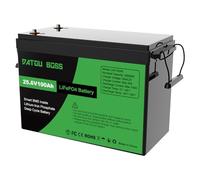 DATOUBOSS Batería de Litio LiFePO4 de 24V 100Ah, BMS Integrado de 100A, hasta 15 000 Ciclos Profundos, Salida Máxima de 2560Wh, Compatible con Conexión en Serie/Paralelo, para Camper, Sistema Solar