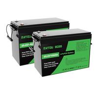 DATOUBOSS Bateria Litio 24V 100Ah Batería Lifepo4 con Protección 100A BMS, Hasta 15000 Ciclos y 10 Años de Vida, para Camping Autocaravana, Sistema Placa Solar, Barco, Hogar (2 piezas)