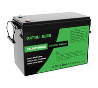 DATOUBOSS Bateria Litio 24V 100Ah Bateria Lifepo4 con Protección 100A BMS, Hasta 15000 Ciclos y 10 Años de Vida, para Camping Autocaravana, Sistema Placa Solar, Barco, Hogar