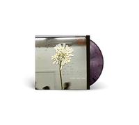 Daughter - Stereo Mind Game - Strictly Limited Eco Coloured Edition [Vinilo]