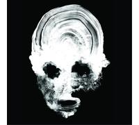 Daughters You Won't Get What You Want (Vinyl) 12" Album