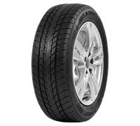 Davanti Wintoura 205/55R16 91H TL