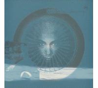 Dave Angel - Tokyo Stills Fighter