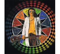 Dave Brook - DAVE BROOK earthed to the ground. TOP COPY. Extremely rare. First UK press 1984 on Flicknife records. Hawkwind