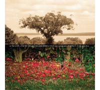 Dave Douglas Be Still (Vinyl) 12" Album (Importación USA)